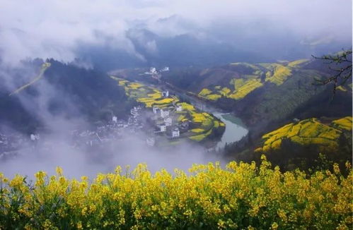 黄山风景区对女性游客免门票7天，一次性别平等的美丽邂逅