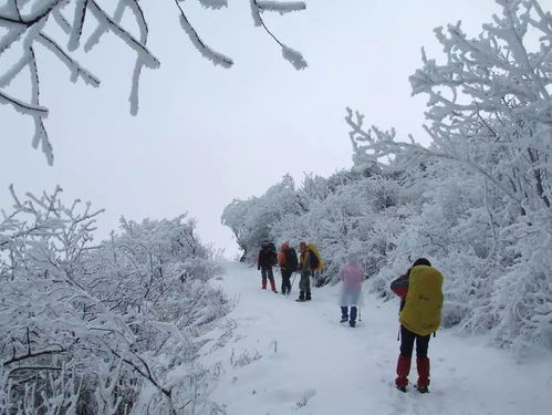 济南大暴雪，387个大明湖的震撼与启示