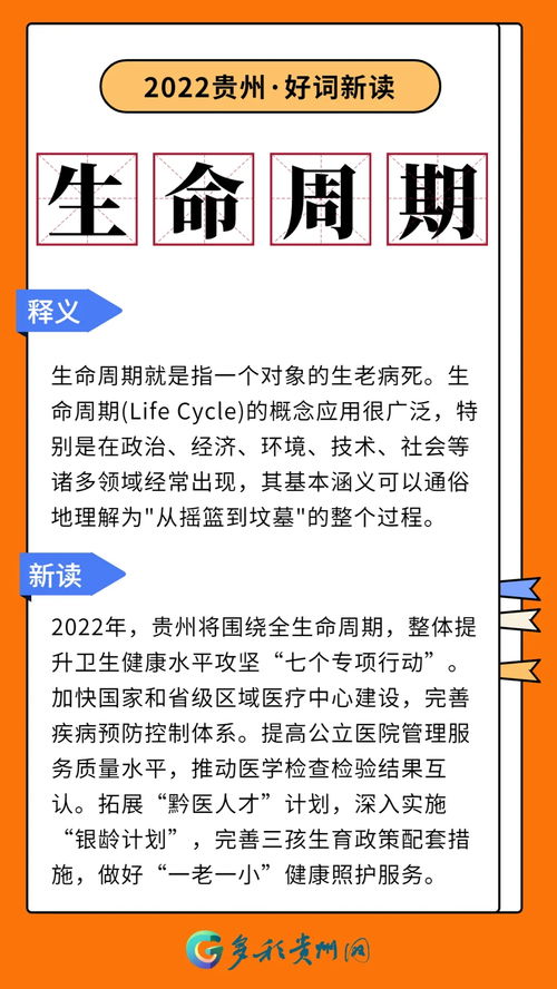 政府工作报告中的新词热词，创新、绿色、共享与数字转型的交响曲