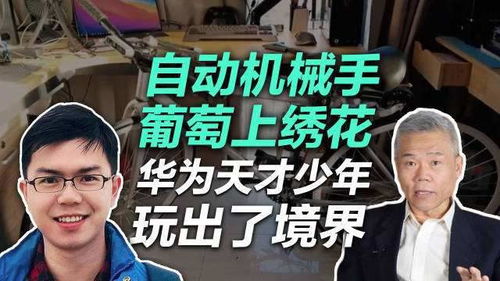 华为离职天才少年官宣刷屏，从职场跳板到人生新篇章