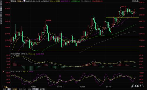 黄金市场惊现跳水，金价大跌创一周新低，投资者如何应对？