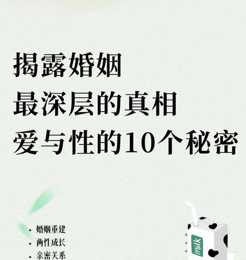 揭露机关年入35万的相亲谎言，真相与诚信的较量