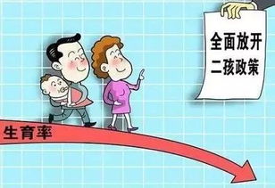 呼和浩特市出台生育激励政策，二孩家庭奖励5万，三孩家庭奖励10万—深入解析与影响分析