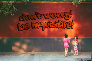 成长教育语录，塑造未来的智慧之光