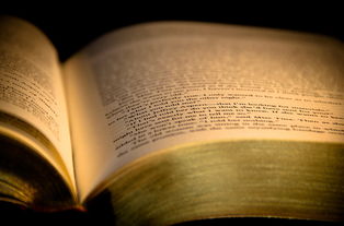 点亮心灯，一位教师的教育故事