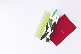 用爱和智慧陪伴孩子成长,培训心得 用爱和智慧陪伴孩子成长,培训心得