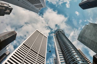 全中国教育最好的城市排名，探索教育质量与城市发展的和谐共生